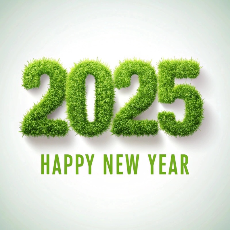 Happy New Year 2025!